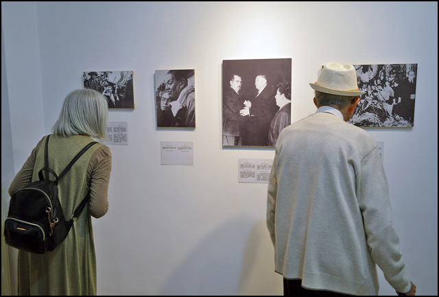 Foto Nenad Kovacevic 4
