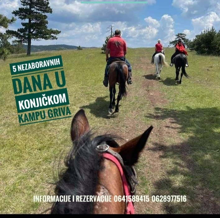 Letnji kampovi jahanja u Grivi 1 griva