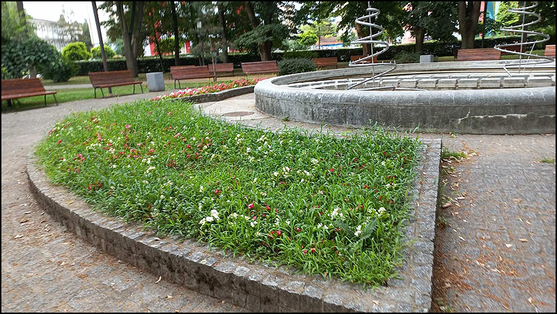 park 1