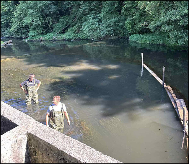 Počela sanacija reke Đetinje nakon što je u nju izliven mazut 4 Foto Srbijavode 1