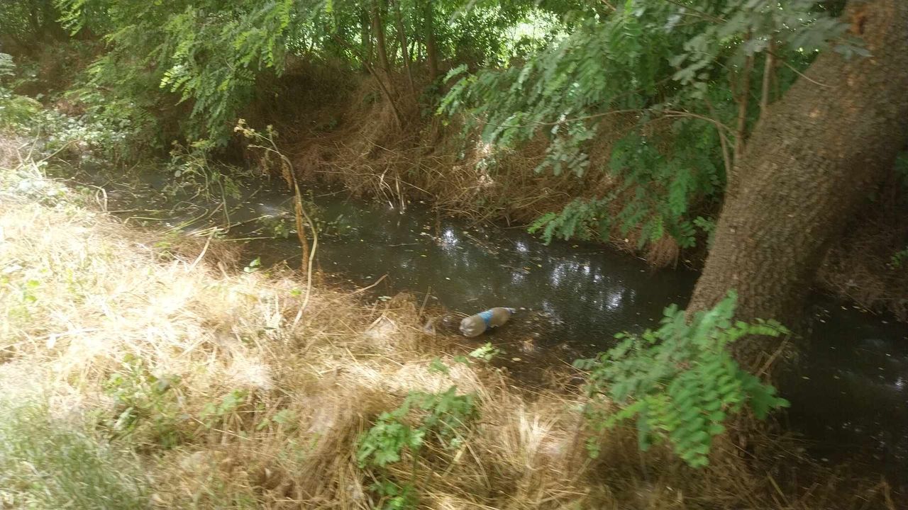 Opet problemi sa kanalizacijom u Vapi (FOTO) 4 botunja