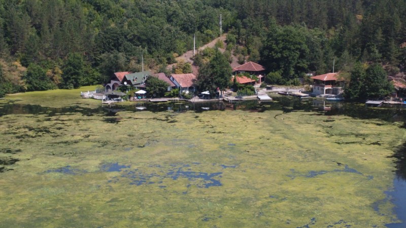 Alge fekalnog porekla prekrile jezero, stručnjaci kažu nema brzih rešenja (FOTO, VIDEO) 4 jezero3 1