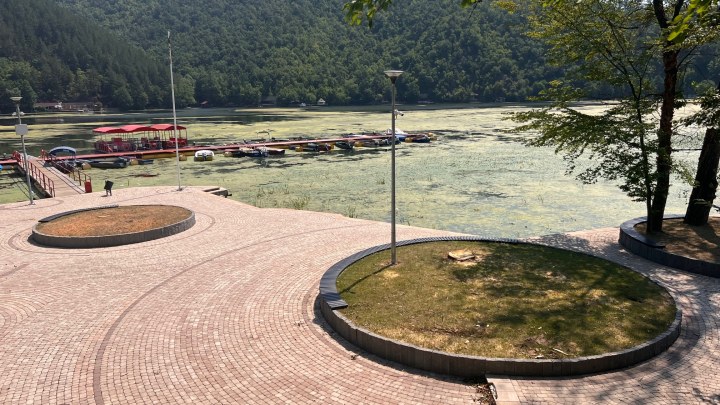 Gradonačelnik posekao osušeno drveće koje je behatonirao (FOTO) 4 jezero3