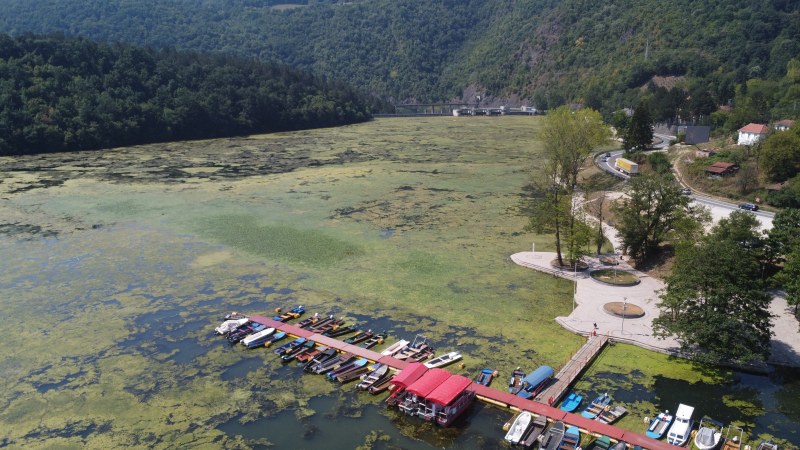 Alge fekalnog porekla prekrile jezero, stručnjaci kažu nema brzih rešenja (FOTO, VIDEO) 2 jezero5