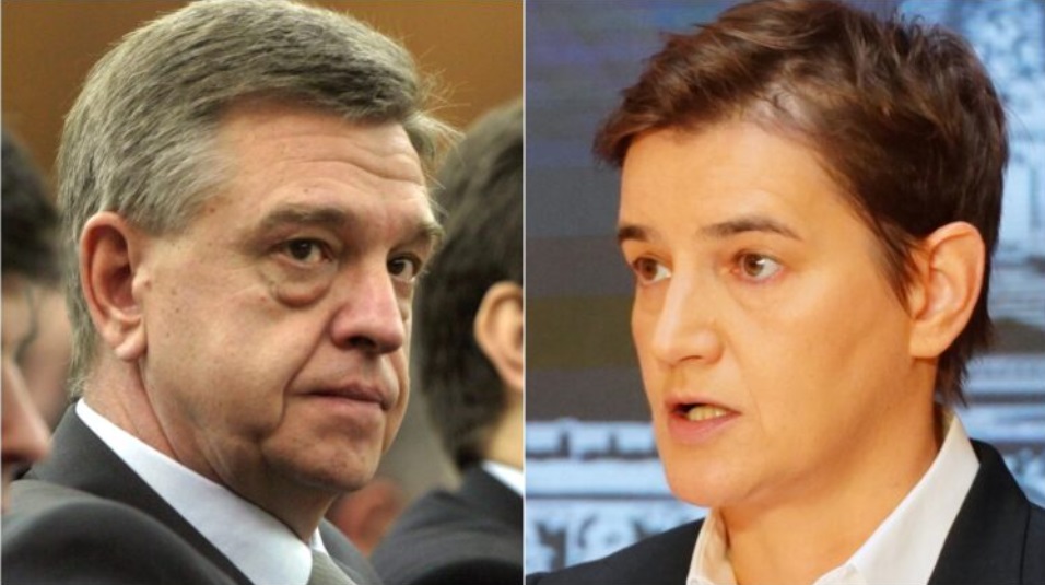 marsicanin ana