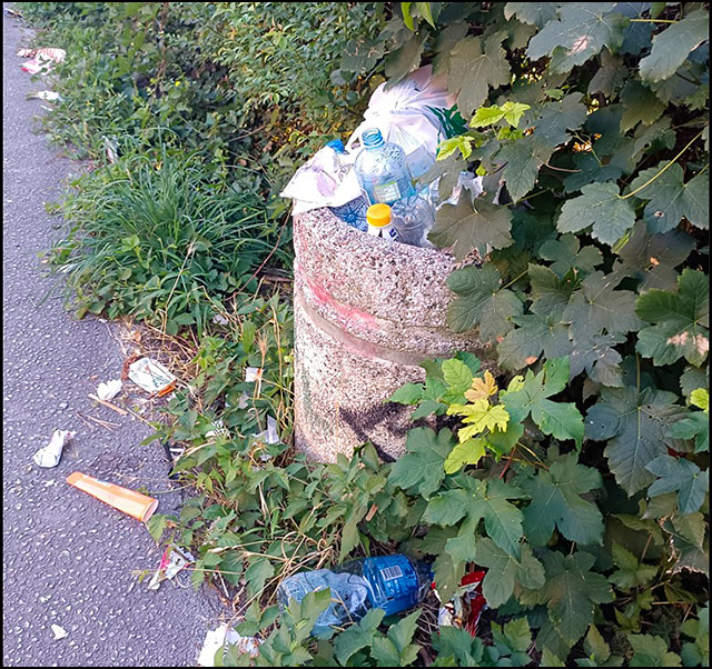 Za čistiji i lepši grad 1 smece kanta 1