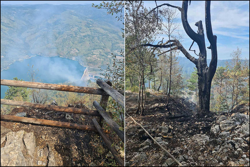 Požar na Tari pod kontrolom, moguće angažovanje helikoptera (FOTO/VIDEO) 1 Pozar na Tari Foto Privatna arhiva