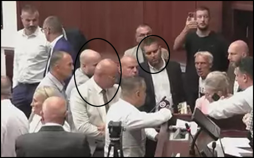 Stevanic Parezanovic i Trifunovic