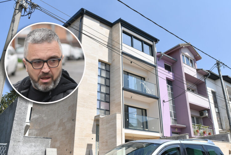 vucicevic1