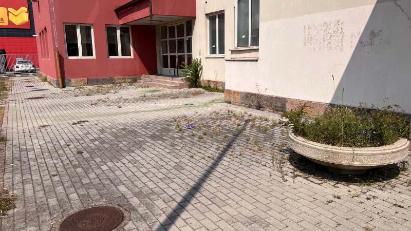 Drveće i cveće koje je zasadila pomoćnica gradonačelnika se osušilo (FOTO) 7 ZELEZNICKA