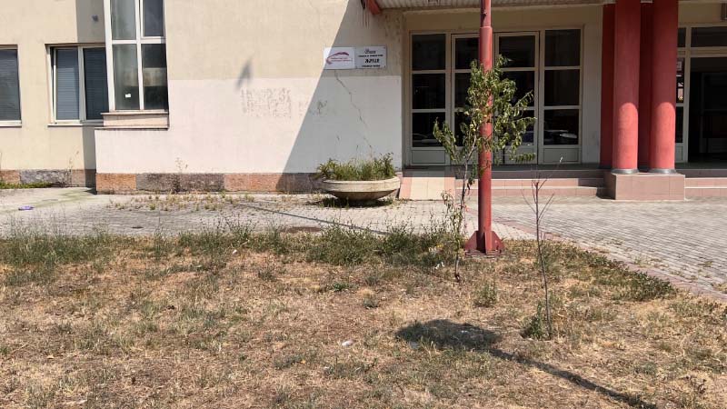 Drveće i cveće koje je zasadila pomoćnica gradonačelnika se osušilo (FOTO) 3 ZELEZNICKA5