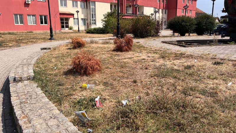 Drveće i cveće koje je zasadila pomoćnica gradonačelnika se osušilo (FOTO) 2 ZELEZNICKA6