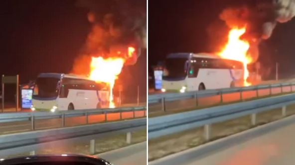 autobus