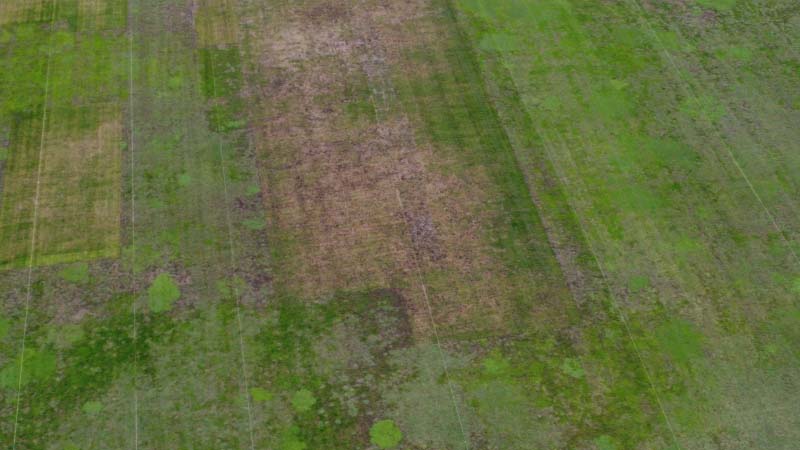 Gradski stadion i dalje van upotrebe, pola terena bez trave (FOTO) 3 stadion2