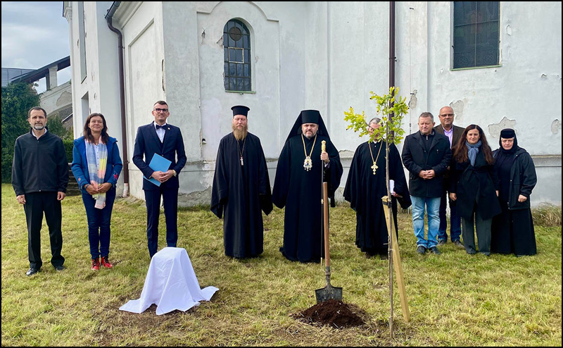 Sadnjom drveta mira u Češkoj odata pošta Kralju Aleksandru I 2 Drvo mira Tree of peace