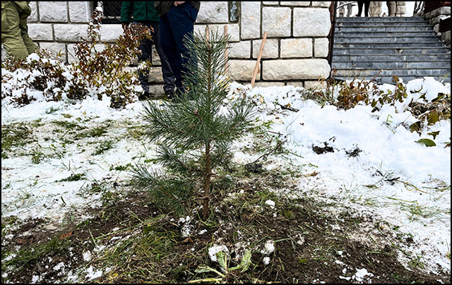 Foto TO Zlatibor 1