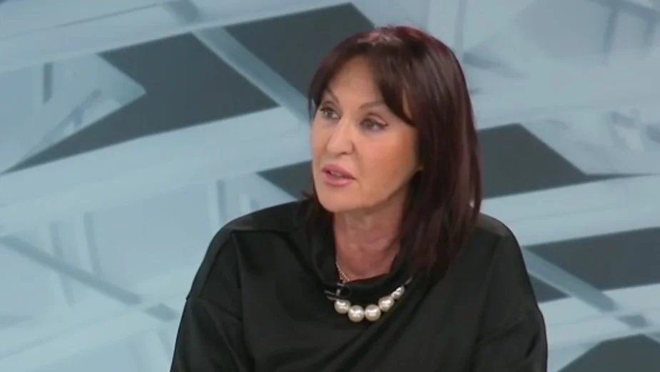 Jasmina Paunovic N1 printscreen