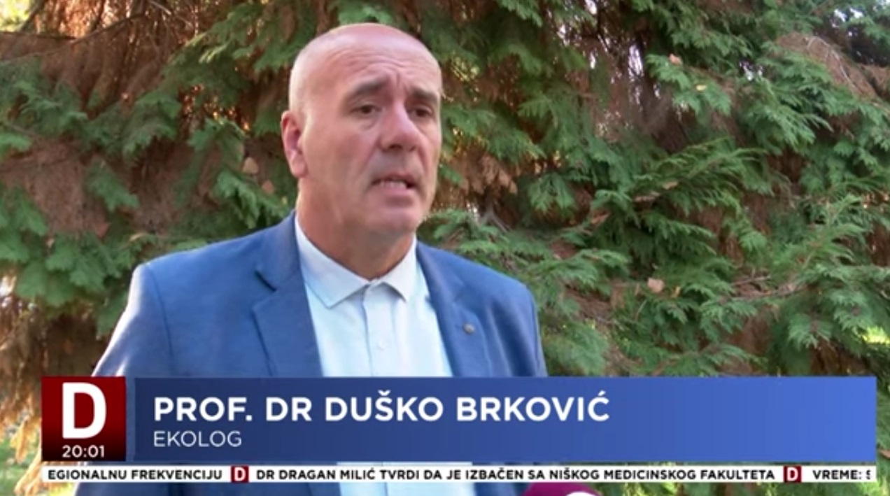 dusko