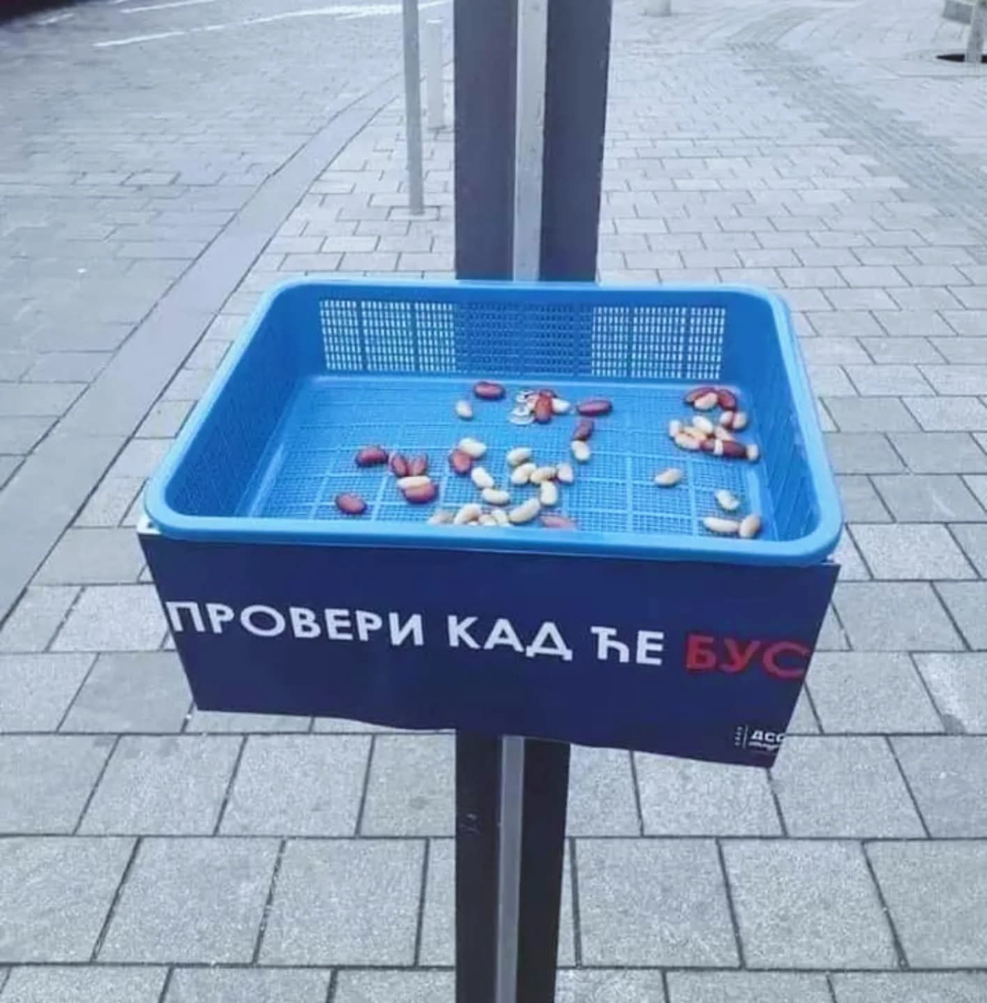 humor tviter1