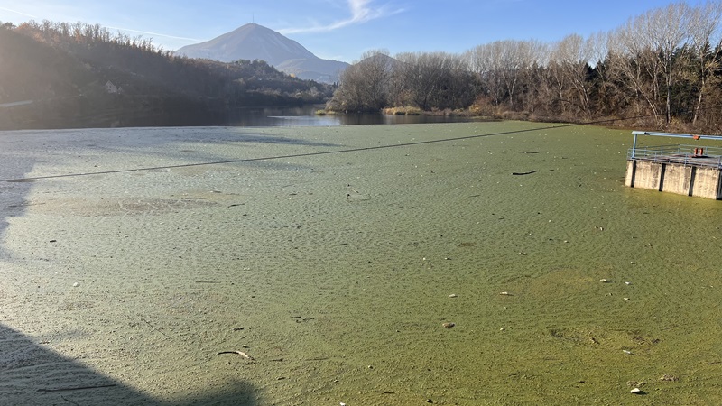 jezero
