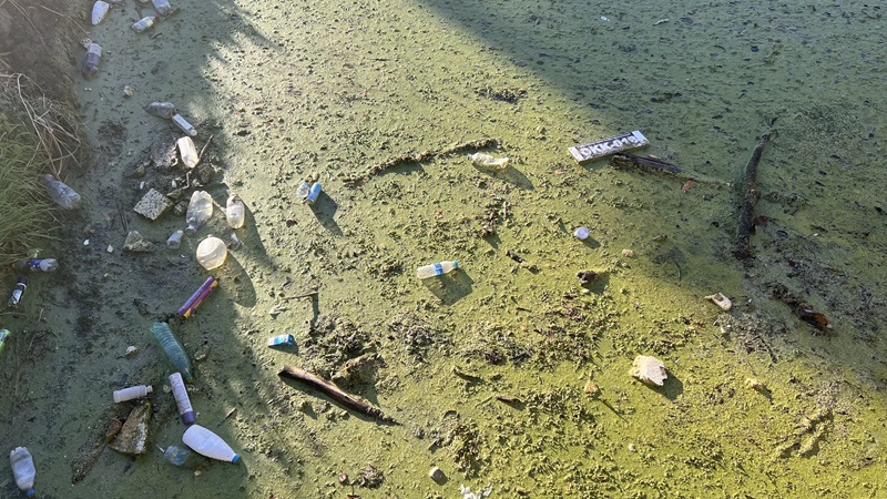 Jezero u Parmencu puno trave i otpada (FOTO, VIDEO) 3 jezero3