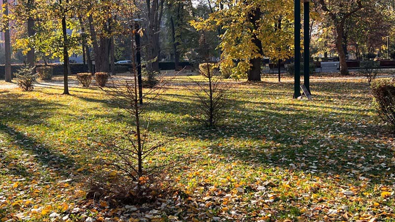 park cetinari