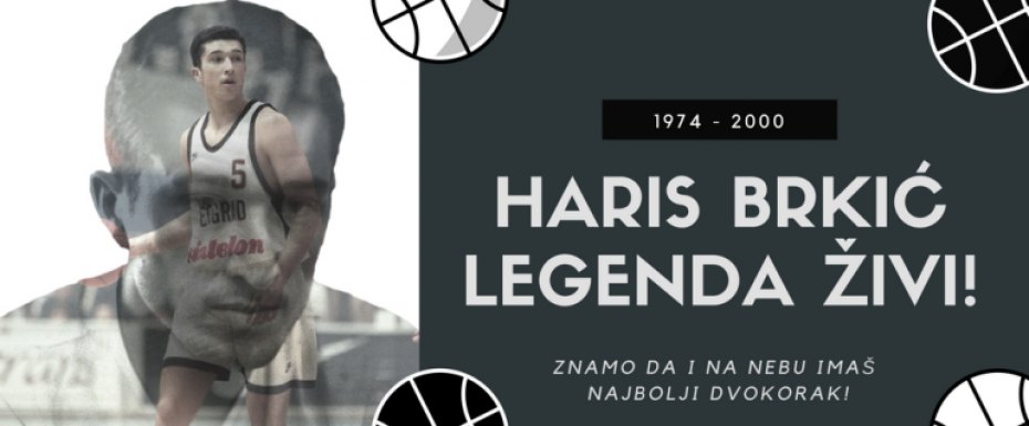 haris brkic