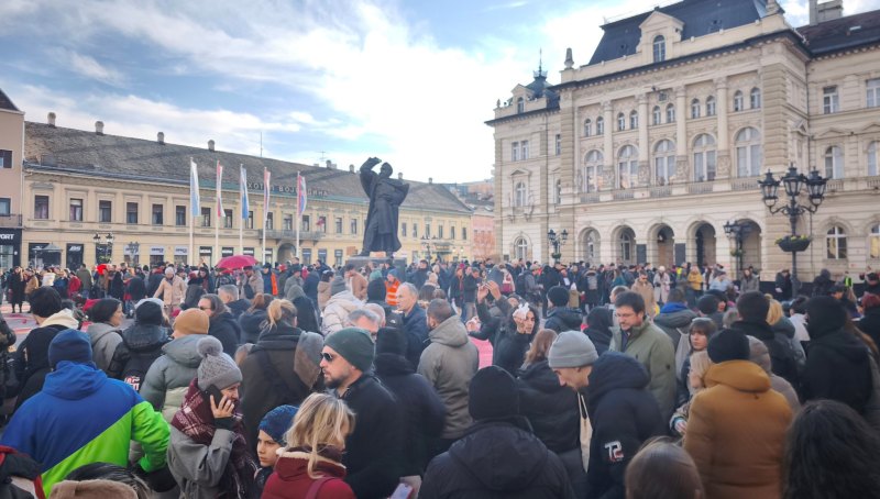 novi sad4