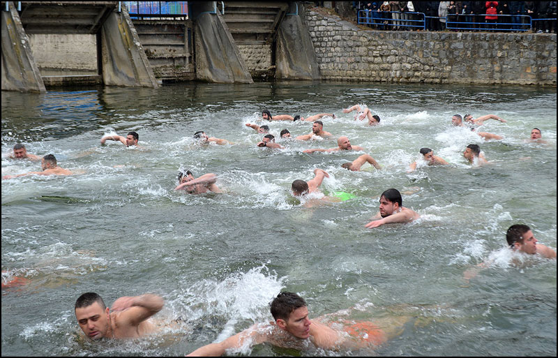 Foto Nenad Kovacevic 5 1