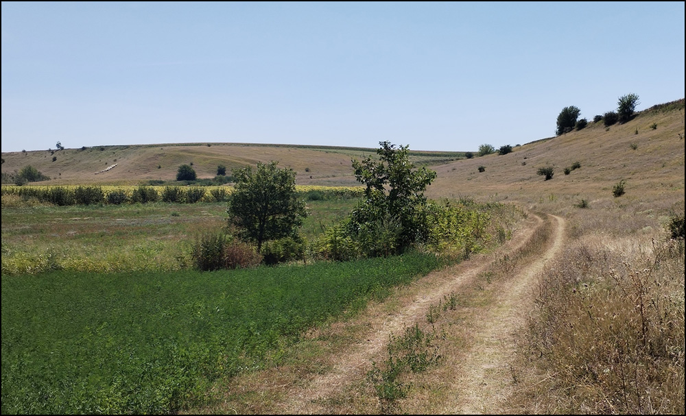 BioSens: Prirodna rešenja za održivu budućnost Srbije 3 Otvorena travnata stani ta unutar poljoprivrednog predela ju nih padina Fru ke gore autor Maja Arok