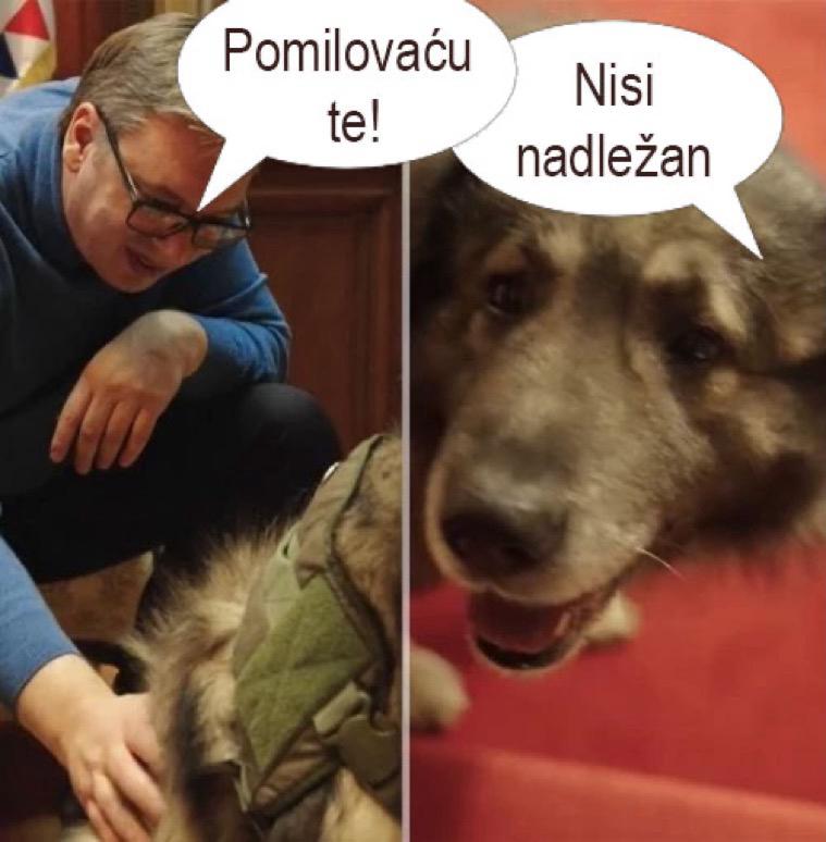 humor12