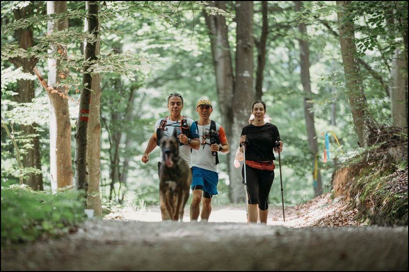 Počinje nova sezona Treking i trejl lige Srbije 6 Treking i trejl liga Srbije 5 Foto Anastasia Saltikova