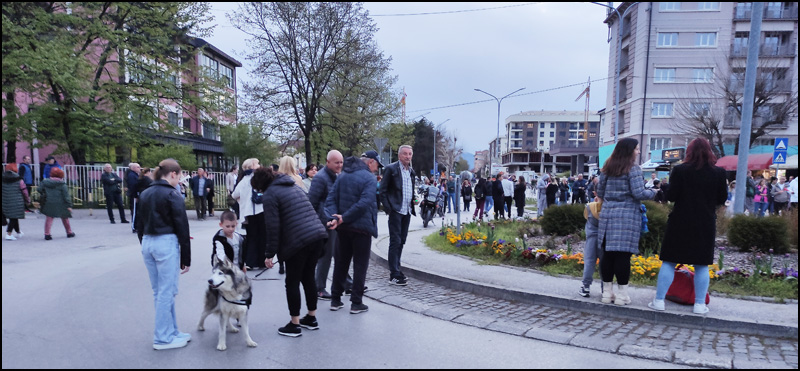 protest 3