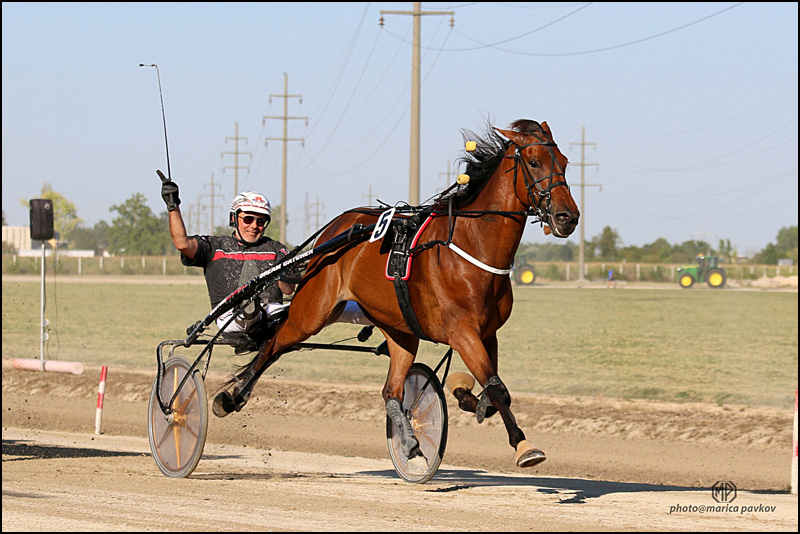 Brenno Laumar čeka za novi duel 1 Brenno Laumar Vladimir Pribic 2