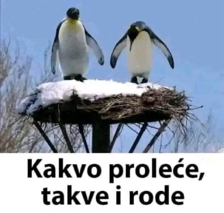 humor3