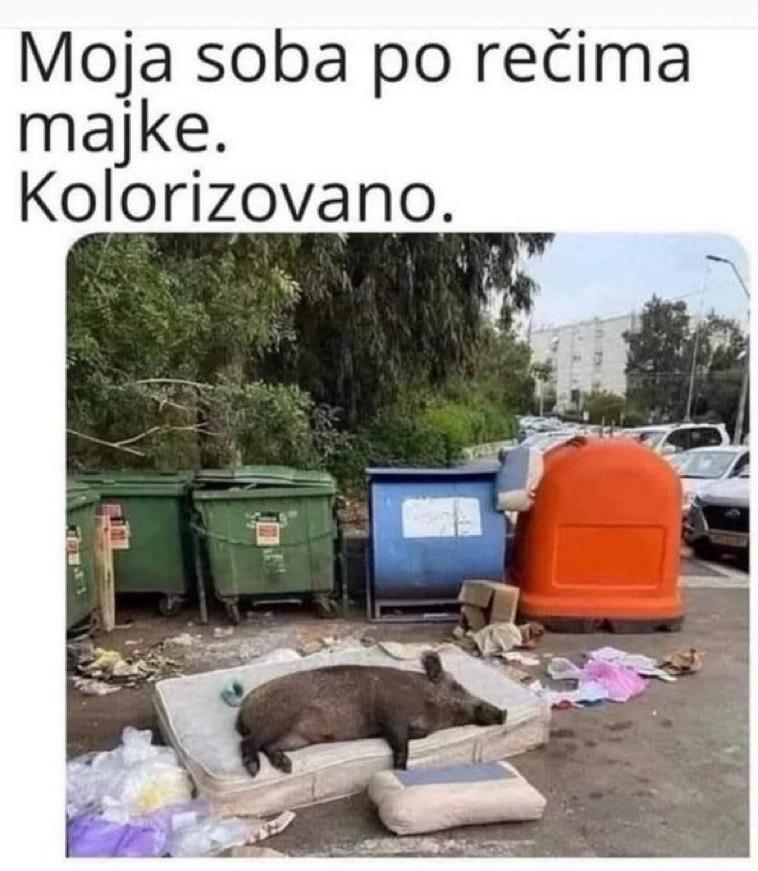 humor4