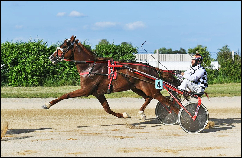 Dominio BI pojačao tempo 1 konj 800