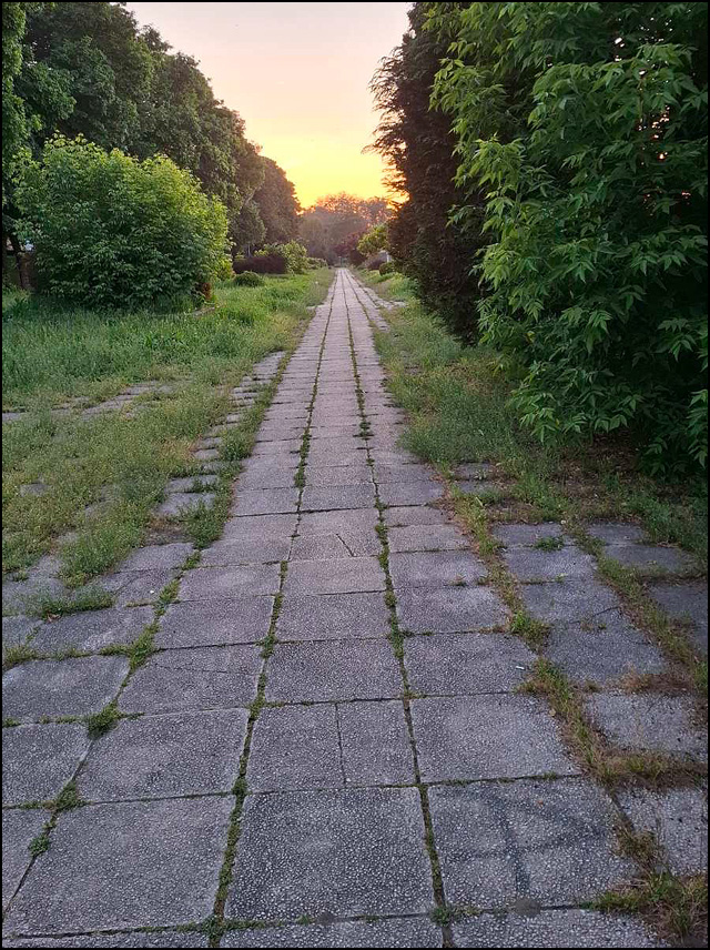 rastinje 1