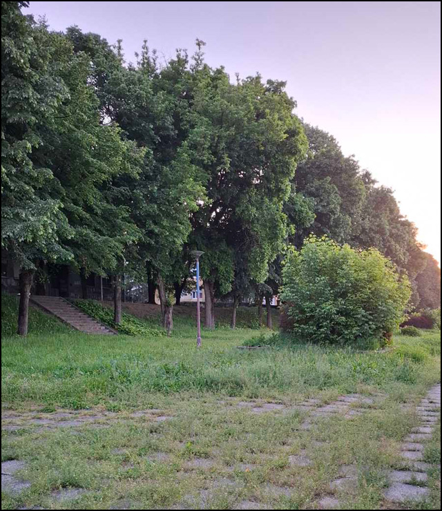 rastinje 5