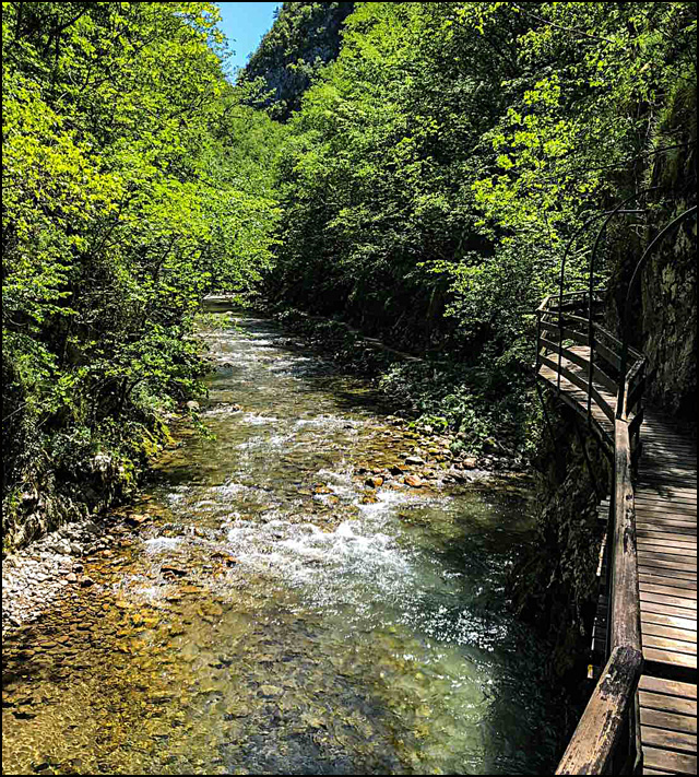 Arilje
