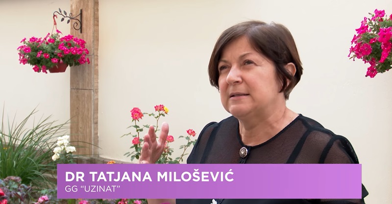 TATJANA MILOSEVIC
