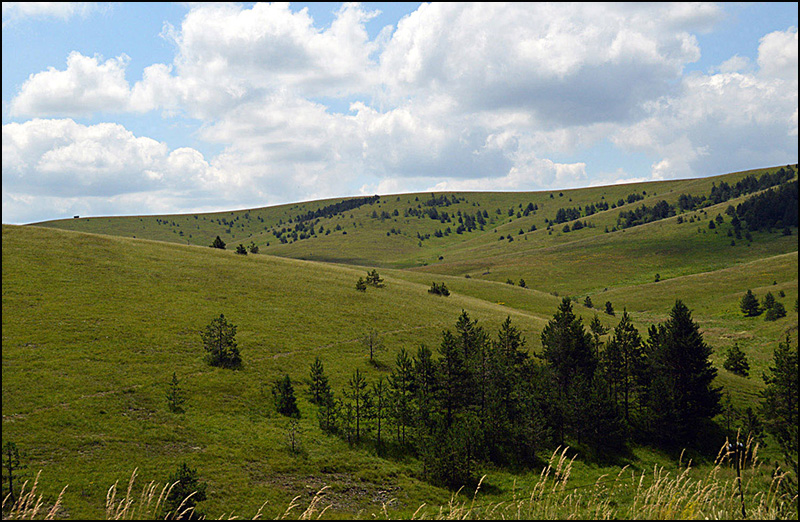 Zlatibor Foto Nenad Kovacevic 1