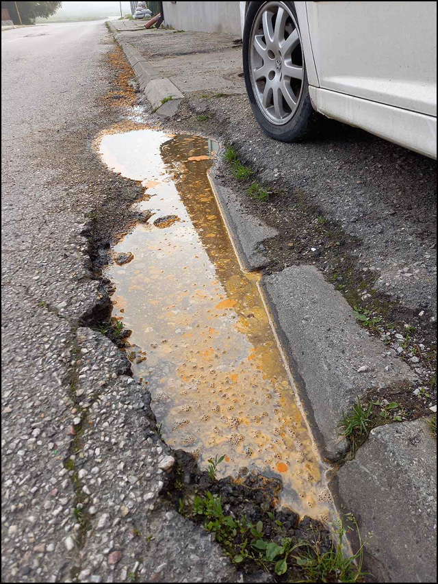 Dobrodošli u Guču 5 voda 2
