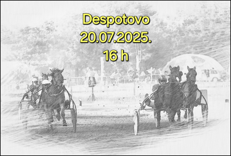Konjički sport: očuvanje sećanja na Nikolu Pejića 1 Najava DE