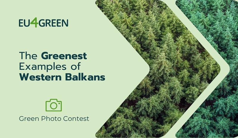 Photo Contest