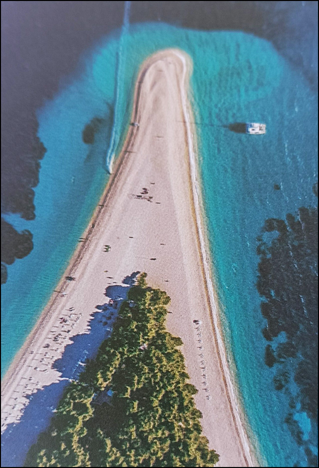 brac 5