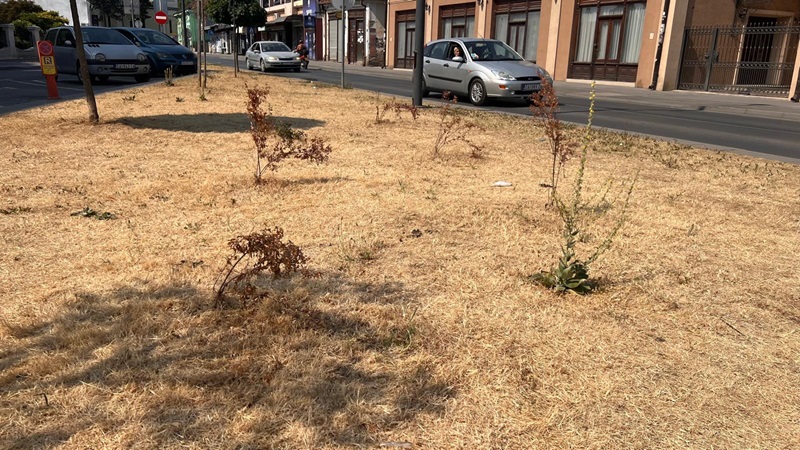 JP Gradsko zelenilo menja ime 5 moravica