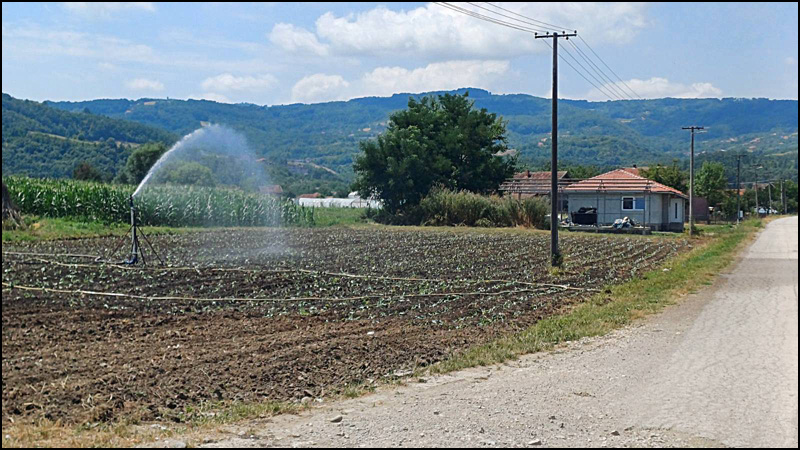 zalivanje