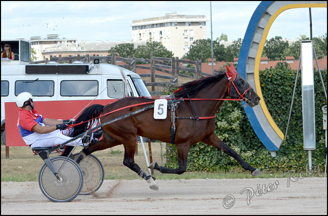 Konjički sport: nova pobeda za Srbiju 1 Finis trke 1
