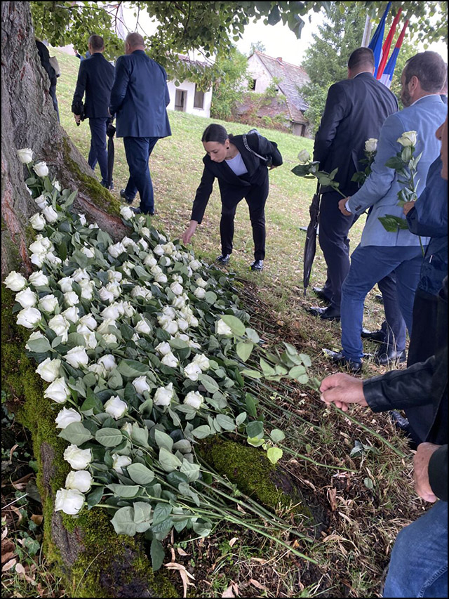 Bele ruže na cesti spasa i smrti (FOTO) 5 Foto Veran Matic 2